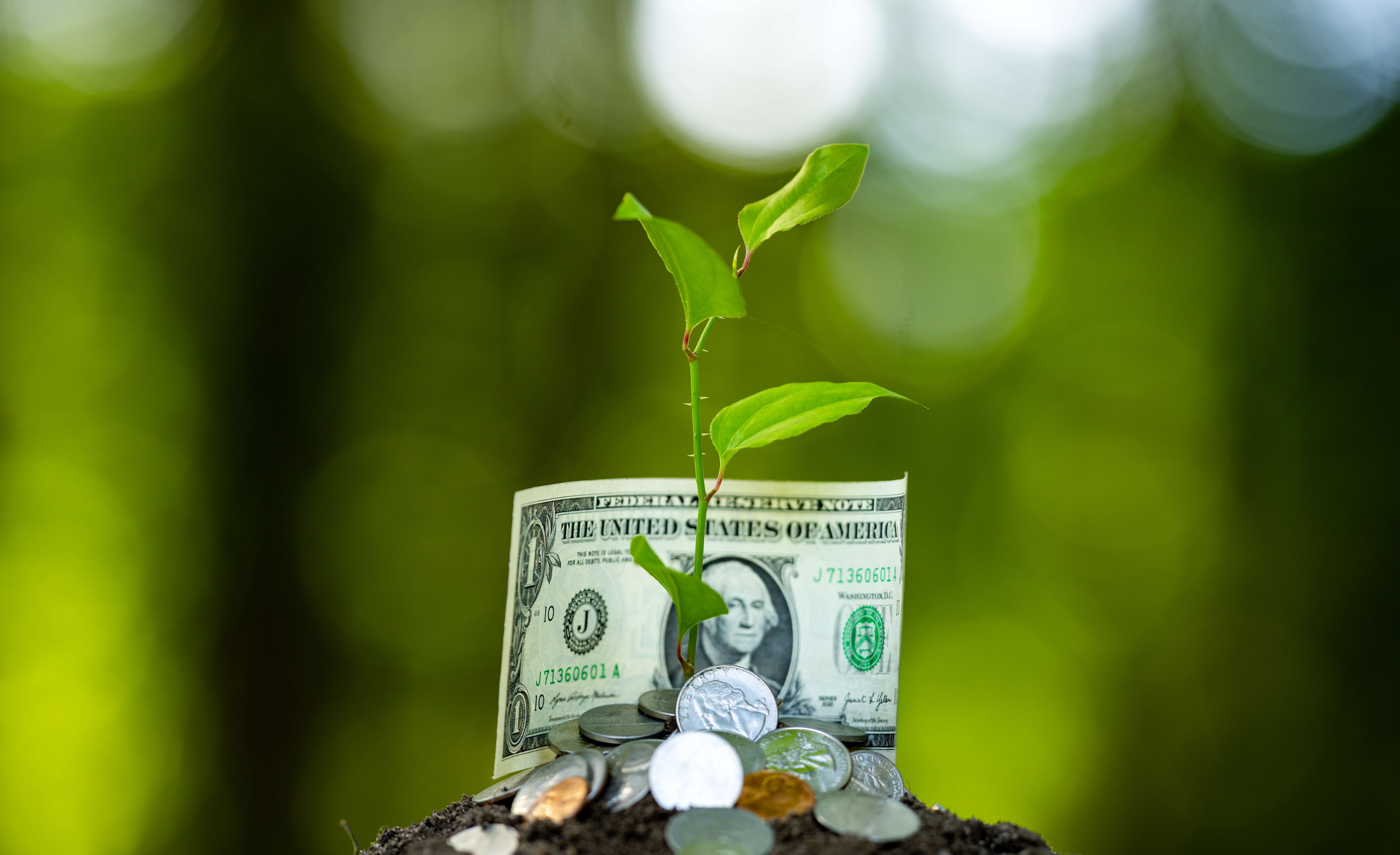 Smart Ways to Use Your Savings Account Beyond “Just Storing Money
