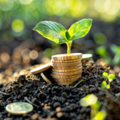 Stacked coins with a growing plant, illustrating financial literacy and wealth growth at F&M Bank.