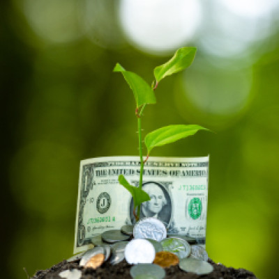Small plant growing from a pile of coins and a dollar bill, representing high-yield investments.